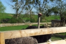 20120428_162056