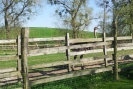 20120428_162311