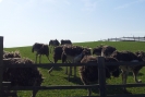 20120428_164224