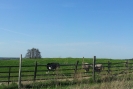 20120428_170040