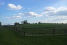20120528_183734